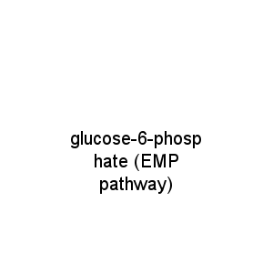 glucose-6-phosphate (EMP pathway)